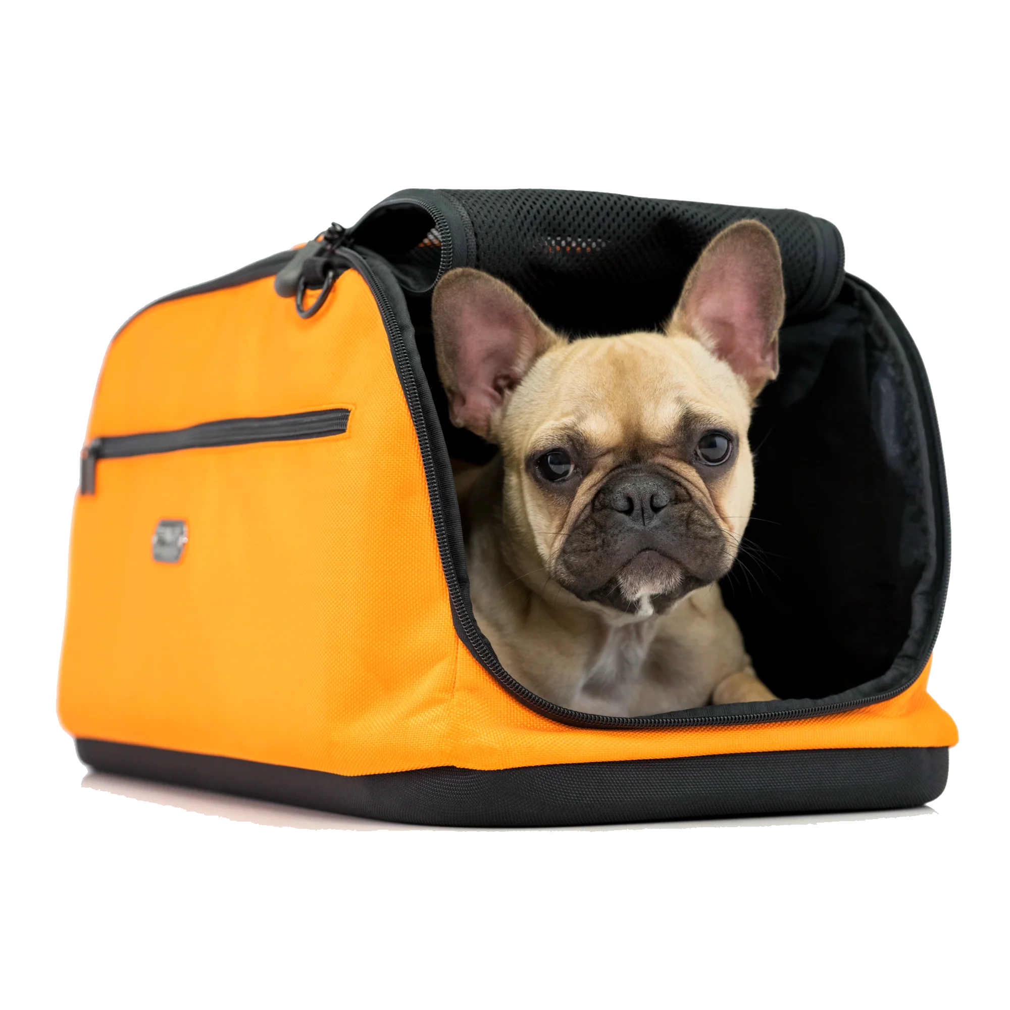 Sleepypod Air Orange Dream – Dogtopia Shop