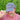 Hat Gray Baseball Cap Only Speaking to Dogs today