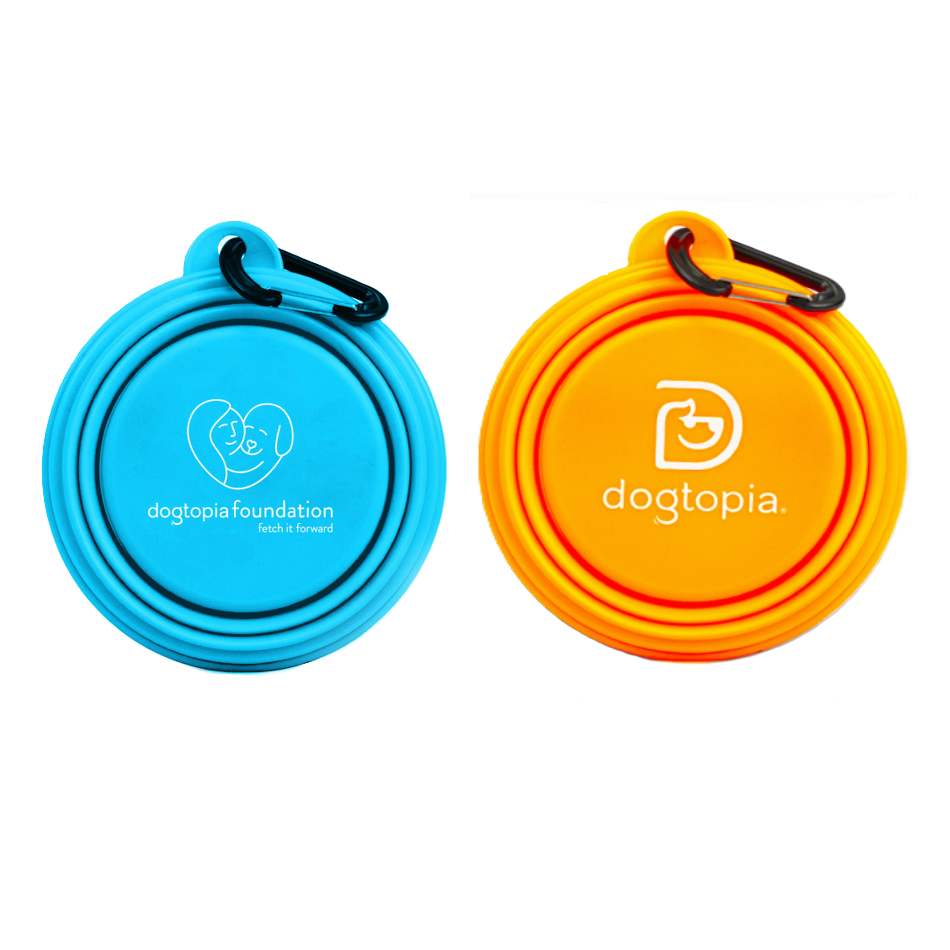 Collapsible Dog Bowl