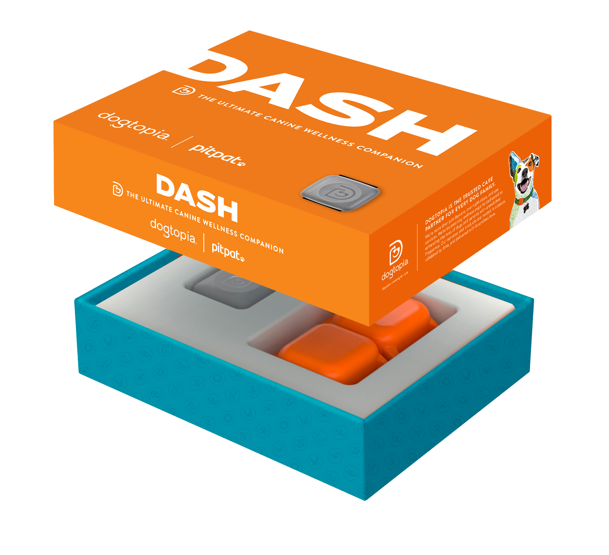 DASH Wellness Activity Monitor