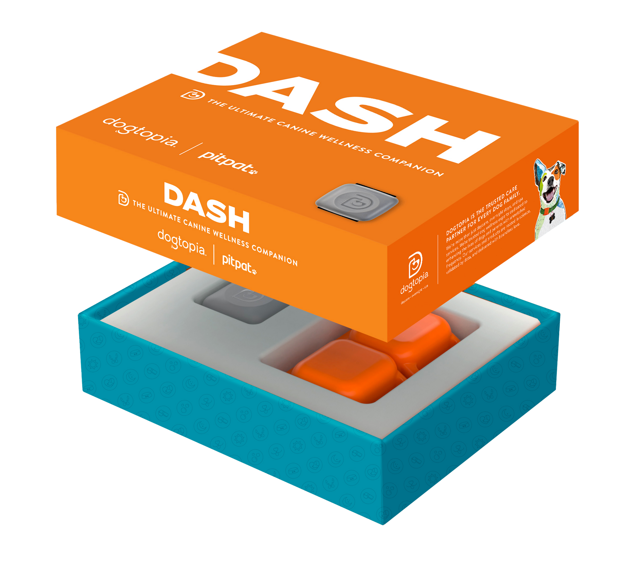 DASH Wellness Activity Monitor