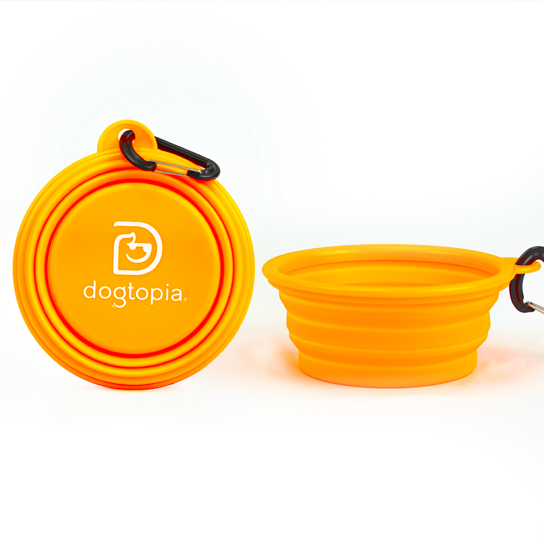 Collapsible Dog Bowl