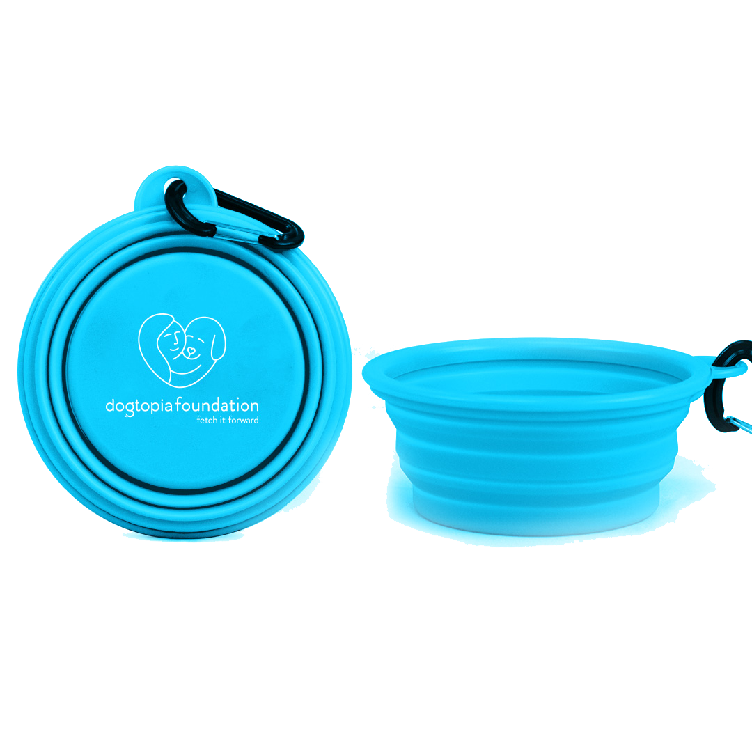 Collapsible Dog Bowl