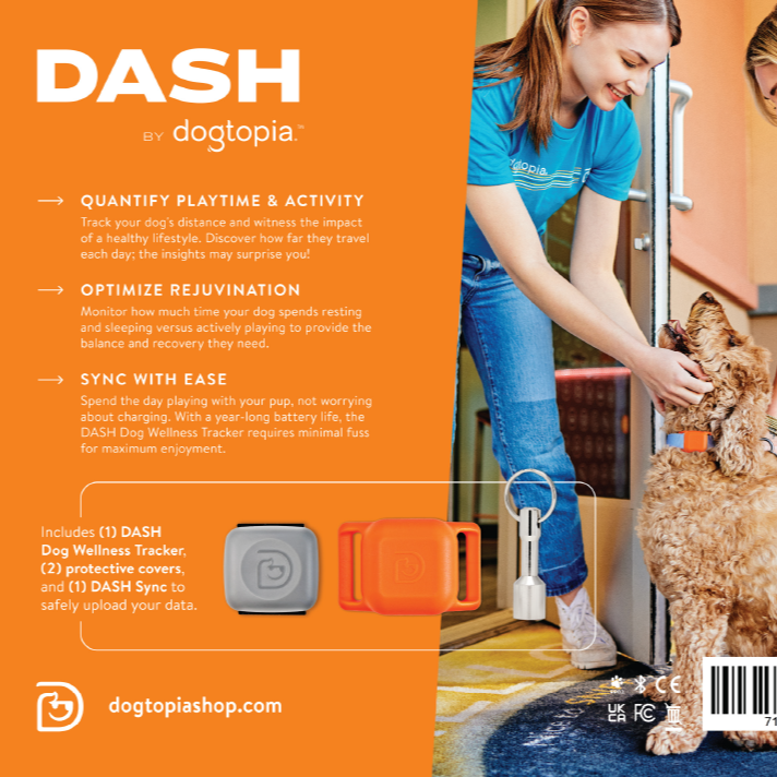 DASH Wellness Activity Monitor