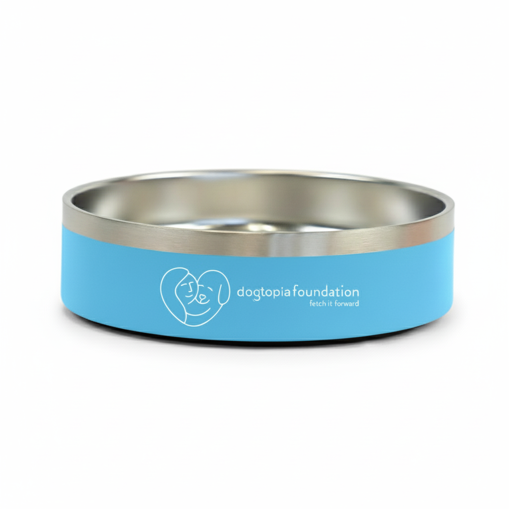 Dog Bowl Foundation 24oz