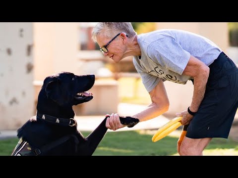 Dogs Save Lives T Shirt - Unite Service Dogs with Veterans