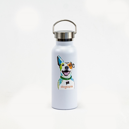 Water bottle 2025 with dog design