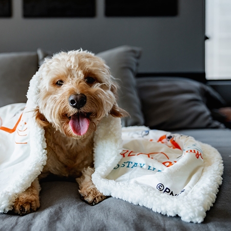 Cozy Warm Sherpa Blanket