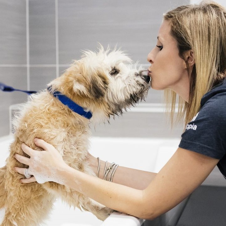 Dog getting a bath and giving a kiss