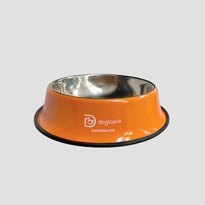 Dog Bowl Small SS Painted Non Skid Rim