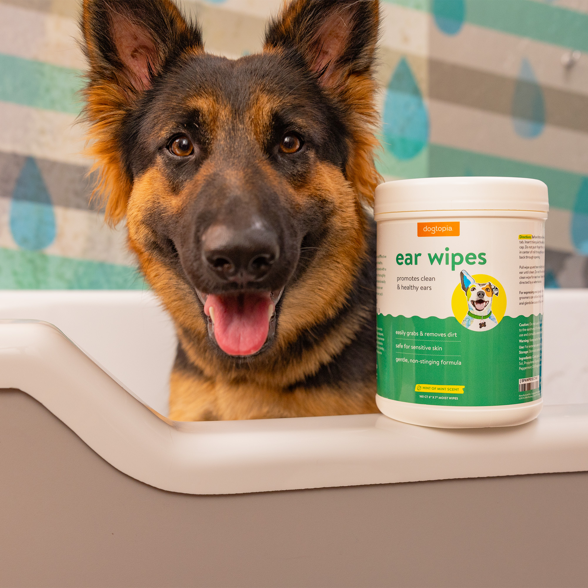 Medicated ear wipes for dogs hotsell