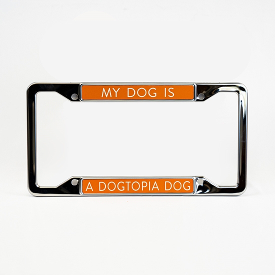 License Plate Frame in Stainless Steel - PROLFSSDT