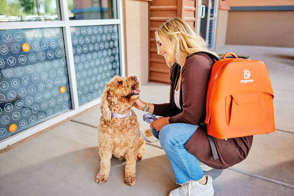 Premium Vegan Leather Backpack - PROBPPLFSOR