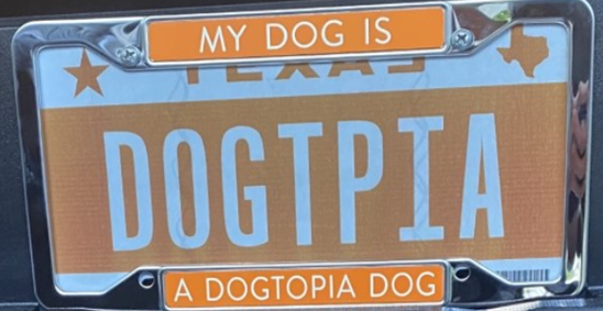 License Plate Frame in Stainless Steel - PROLFSSDT