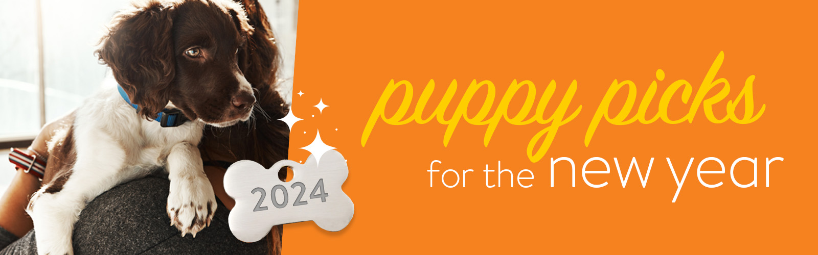 What Do I Need For A New Puppy   2024 NY Puppy Shop Hero Text 1600x500 